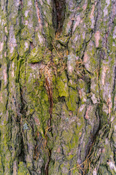 Similar image 21707205