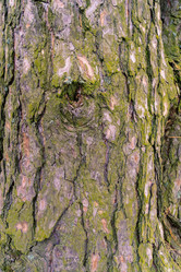 Similar image 21707206