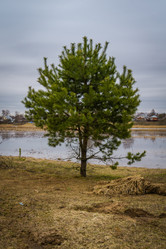 Similar image 21707208