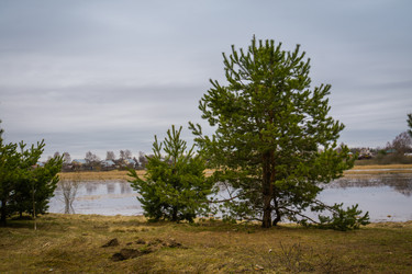 Similar image 21707209