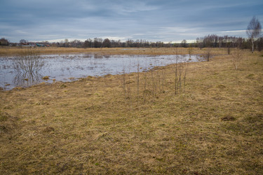 Similar image 21707210