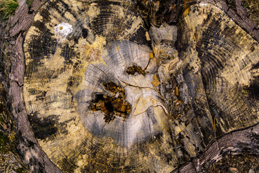 Similar image 21707211