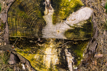 Similar image 21707212