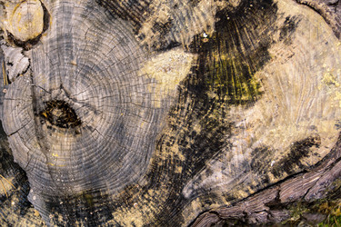 Similar image 21707213