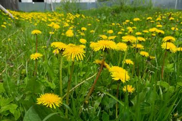 Similar image 21707214