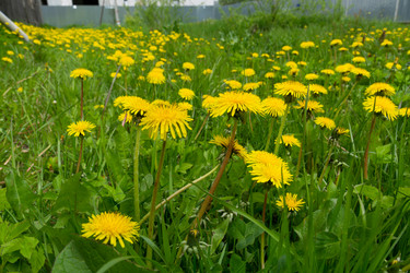 Similar image 21707215