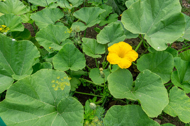 Similar image 21707219