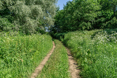 Similar image 21707220