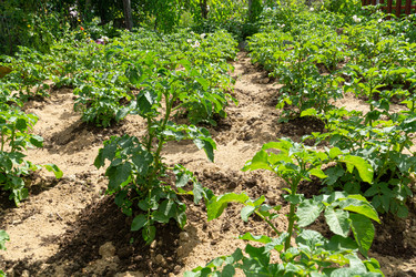 Similar image 21707228