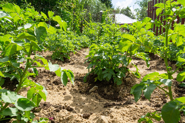 Similar image 21707229