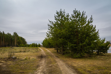 Similar image 21707232