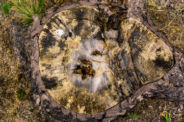 Similar image 21707234