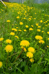 Similar image 21707237