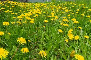 Similar image 21707238