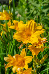 Similar image 21707239