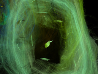 Similar image 21709313