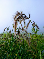 Similar image 21707028