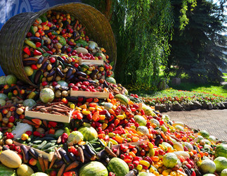 Similar image 21707038