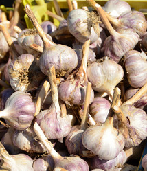 Similar image 21707039