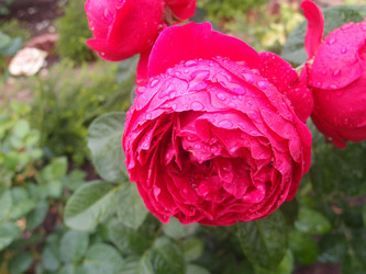 Similar image 21707084