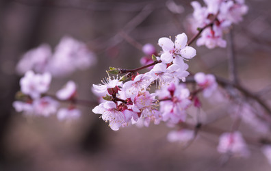 Similar image 21707050