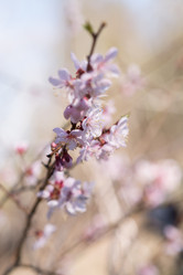 Similar image 21707051