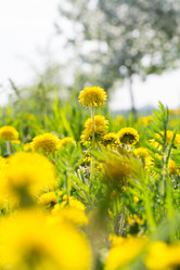 Similar image 21707052