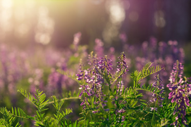 Similar image 21707054