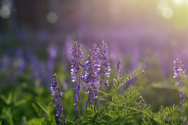 Similar image 21707055