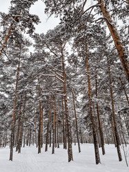 Similar image 21707059