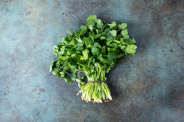 Similar image 21707140