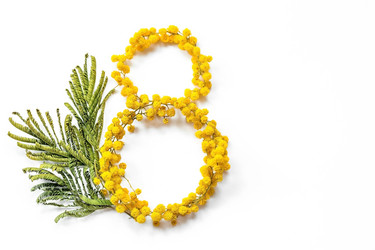 Similar image 21708512