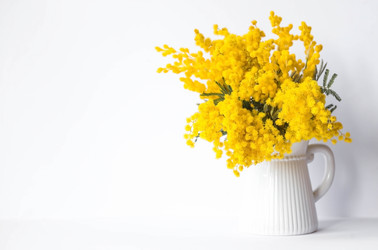 Similar image 21708520