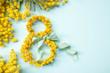 Similar image 21708524