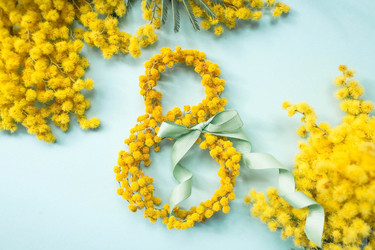 Similar image 21708525