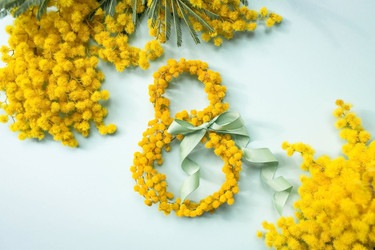 Similar image 21708526