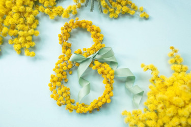 Similar image 21708529