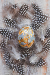 Similar image 21708572