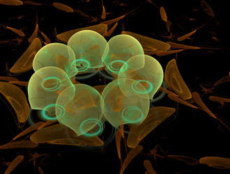 Similar image 21709522