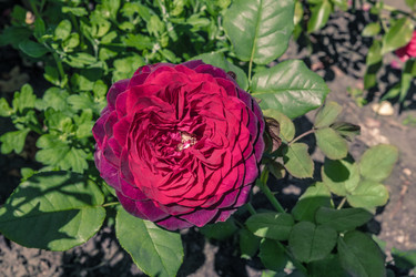 Similar image 21707741