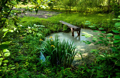 Similar image 21707756