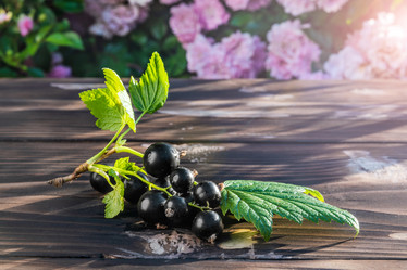 Similar image 21707772