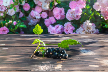 Similar image 21707773