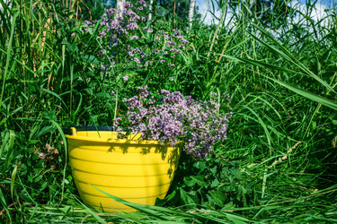 Similar image 21707775