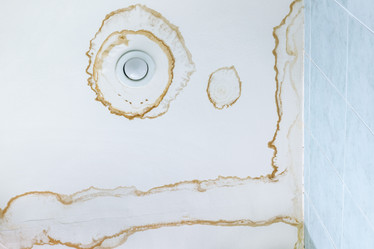 Similar image 21707791