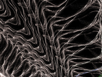 Similar image 21709200