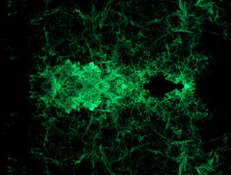 Similar image 21709352