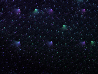 Similar image 21709367