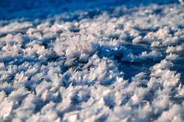 Similar image 21707839