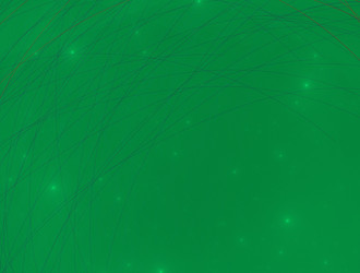 Similar image 21709387